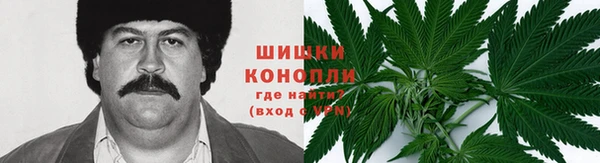 эйфоретик Весьегонск