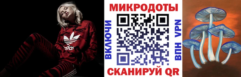 где купить наркотик  Каменка  площадка телеграм  Псилоцибиновые грибы MAGIC MUSHROOMS 