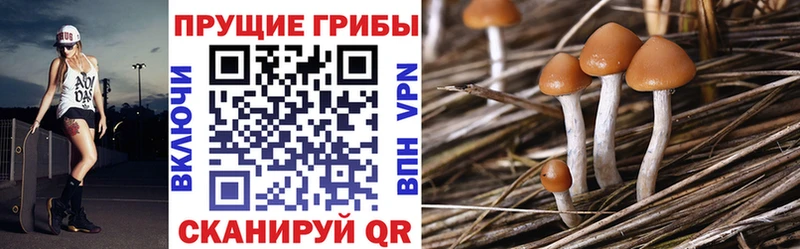 Псилоцибиновые грибы Magic Shrooms Каменка