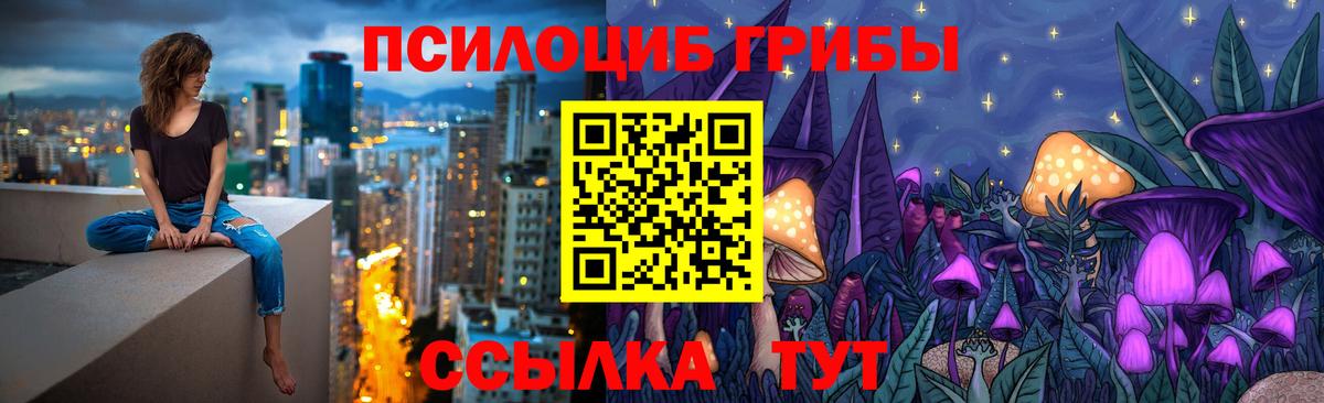 Галлюциногенные грибы прущие грибы  Вход с VPN  Каменка 